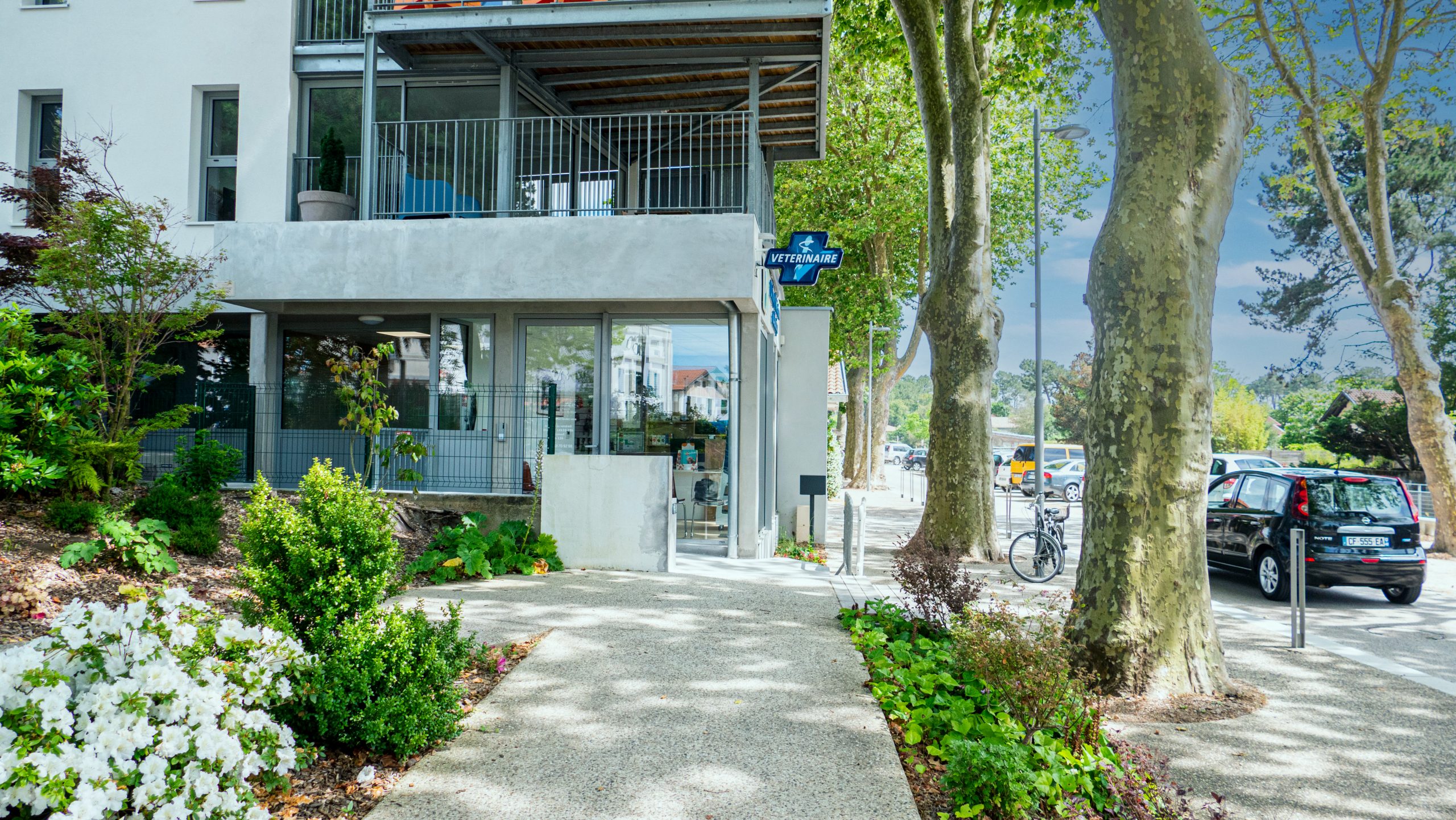 Clinique vétérinaire Capbreton