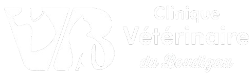 Clinique Vétérinaire du Boudigau